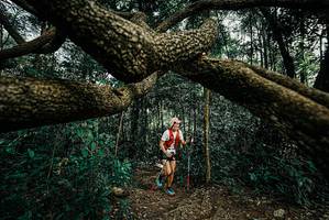 BIB: 
                            <button type="button" onclick="openModal(25708367)" class="btn btn-primary btn-sm float-right btn-popup" data-toggle="modal" data-target=".modal-high-quality">
                        <i class="fas fa-shopping-cart"></i> Add to Cart
                    </button>
                                            <button type="button" onclick="isThisMe(25708367, true)" class="btn btn-success btn-sm float-right btn-popup btn-isme hidden" data-toggle="tooltip" data-placement="bottom" title="นี่คือรูปของคุณใช่ไหม คลิกที่นี่เพื่อเอาเข้าอัลบั้ม">
                        <i class="fas fa-plus"></i> Add to album
                    </button>
                    <button type="button" onclick="isThisMe(25708367, false)" class="btn btn-warning btn-sm float-right btn-popup btn-isnotme hidden">
                        <i class="fas fa-ban"></i> Remove from album
                    </button>